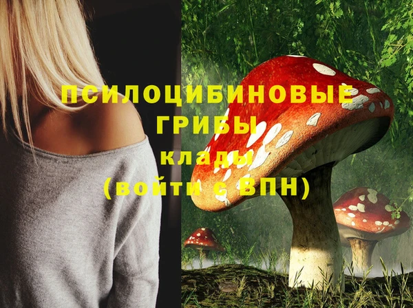 МДПВ Пересвет