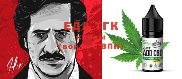 МДПВ Пересвет