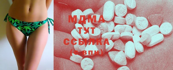 МДПВ Пересвет
