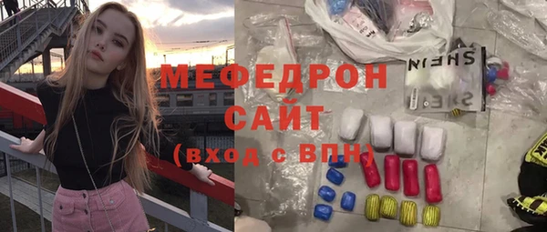 МДПВ Пересвет