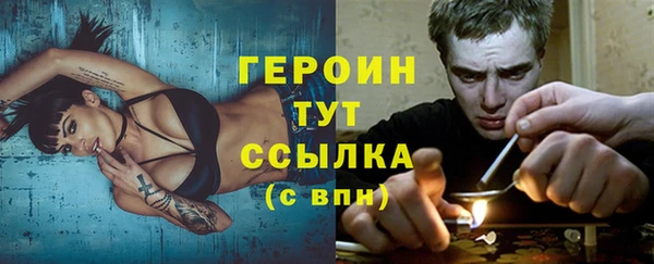 МДПВ Пересвет