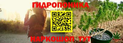 дмт Бийск