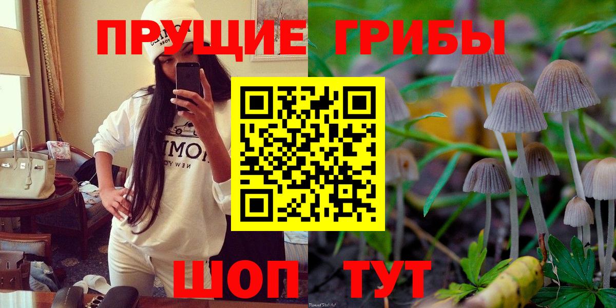 Галлюциногенные грибы Psilocybe Курган