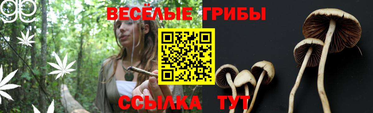 наркошоп  Вход с VPN  Курган  Галлюциногенные грибы Magic Shrooms 