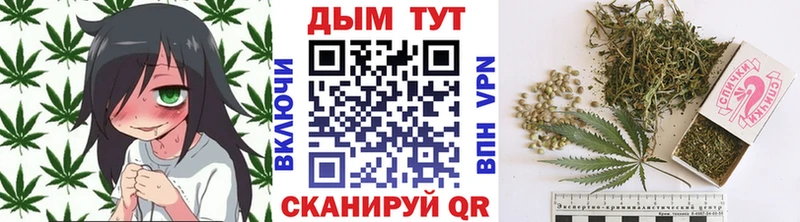 что такое наркотик  Курган  Канабис семена 