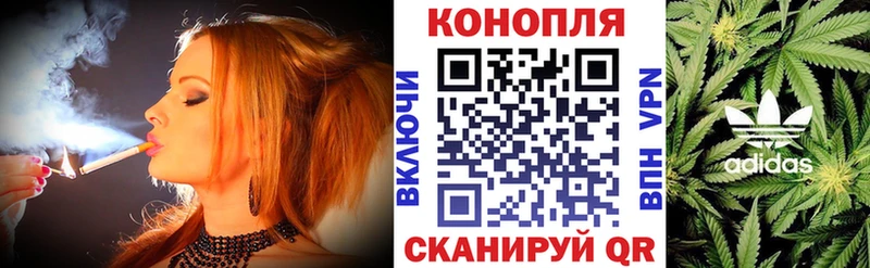 Канабис планчик Курган